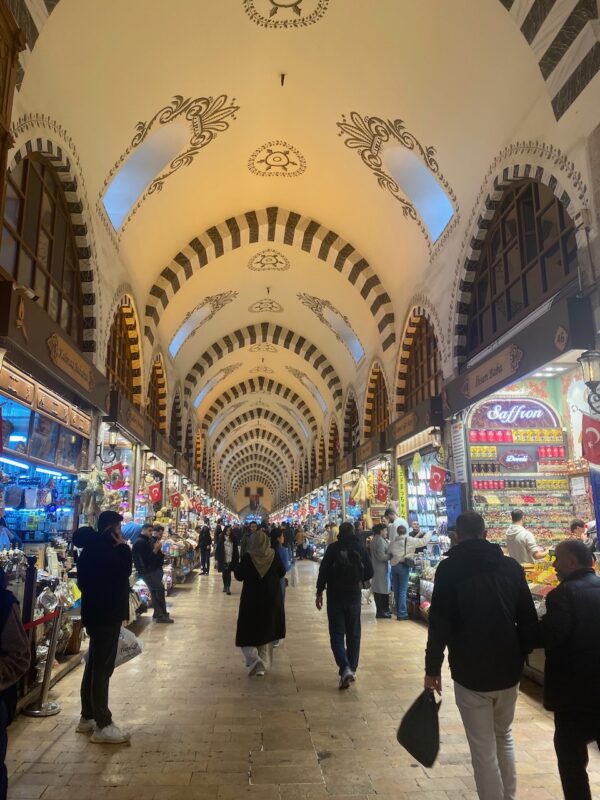 Istanbul, Turkey. Image © PlanetSKI